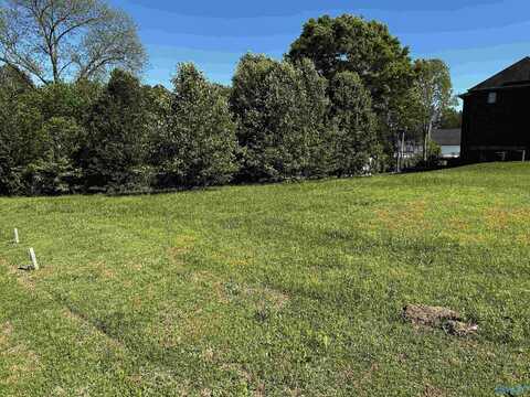 12 Muirfield Drive, Albertville, AL 35951