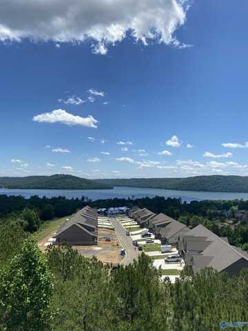 78 Whistling Straits Way, Guntersville, AL 35976