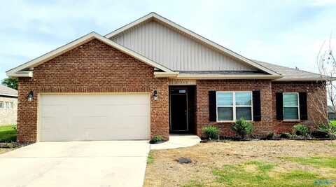 25248 Delilah Circle, Athens, AL 35613