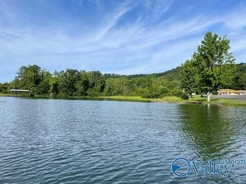 6 Acres Pine Island Point, Scottsboro, AL 35769