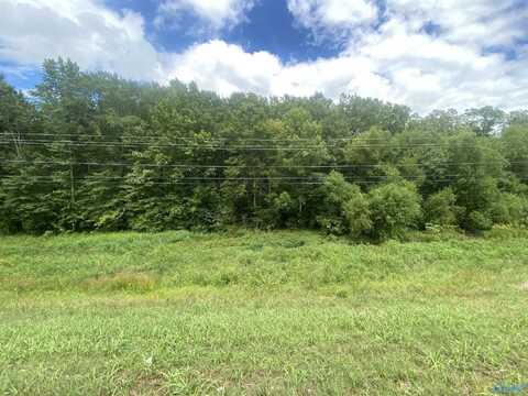 1/2 S Highway 431 South, New Hope, AL 35760