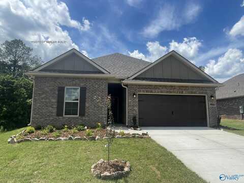 12565 Juniors Drive, Madison, AL 35756