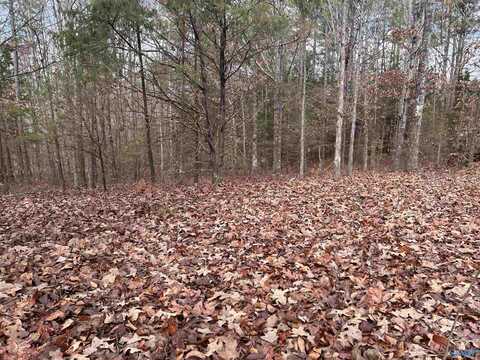 10 Ac Pennywinkle Creek Lane, Cherokee, AL 35616