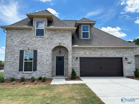 24397 Bekah Lane, Toney, AL 35773