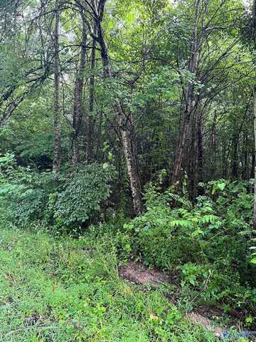 40ac Lake Creek Drive, Guntersville, AL 35976