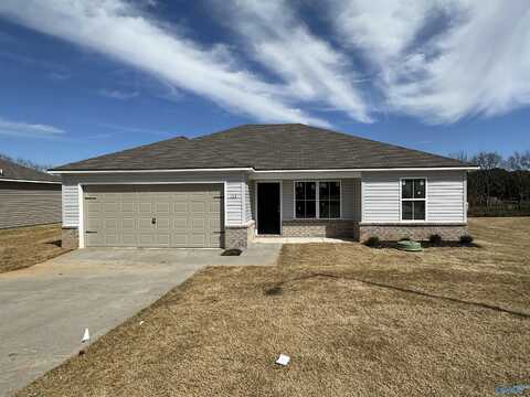 Coleman Olde Savannah Way, New Market, AL 35761