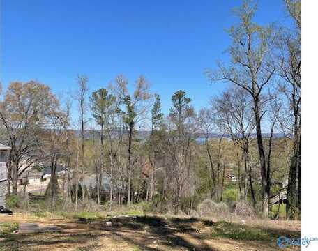 Lot 2 Hickory Hill Drive, Guntersville, AL 35976