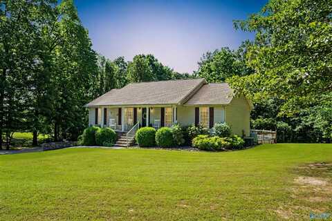 270 County Road 90, Bryant, AL 35958