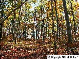 7 Blowing Cave Road, Gurley, AL 35748
