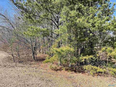 B Lot 17 Cardinal Drive, Guntersville, AL 35976