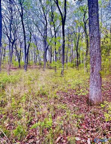 Lot 14 Murray Drive, Decatur, AL 35603