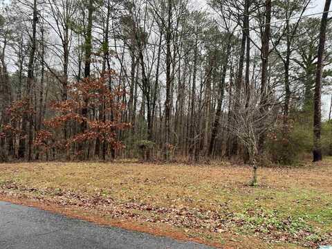 Lot 2 Blk 4 County Road 380, Centre, AL 35960