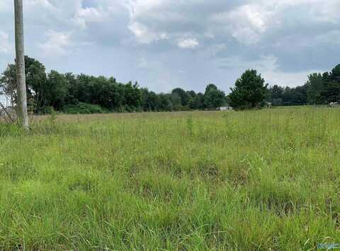 1 Acre On Levert Avenue, Athens, AL 35611