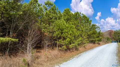 6.2 Acres Road 1970, Mentone, AL 35984