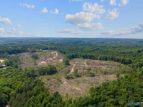 80 Acres Danville Road E, Hartselle, AL 35640