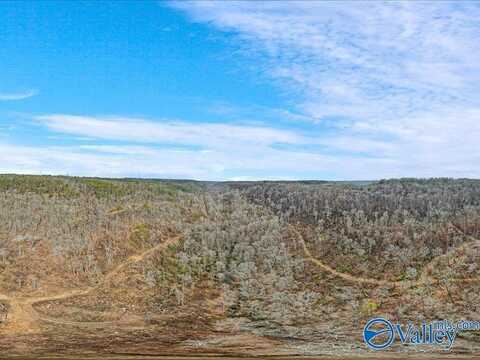 130 Acres Wyeth Drive, Guntersville, AL 35976