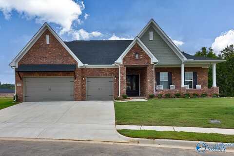 7815 Lake Walk Way, Owens Cross Roads, AL 35763