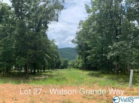 53 Watson Grande Way, Owens Cross Roads, AL 35763