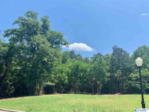 Lot 14 Royal Troon Lane, Albertville, AL 35951