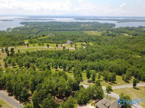 Lot 228 County Road 767, Cedar Bluff, AL 35959