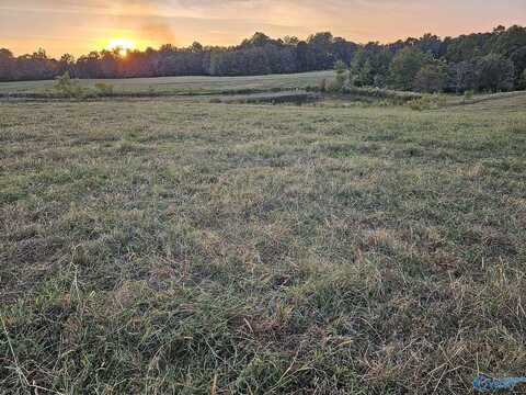 17.98 Acres Little Egypt Road, Tuscumbia, AL 35674