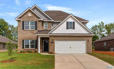 137 Ivy Vine Drive, Toney, AL 35773