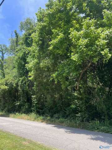 6.5acreage NE Springrock St, Gadsden, AL 35903