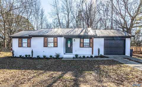 230 8th Avenue, Arab, AL 35016