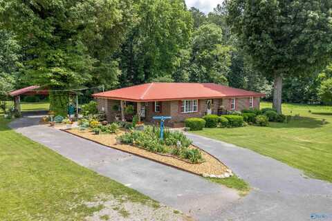 7250 County Road 113, Centre, AL 35960