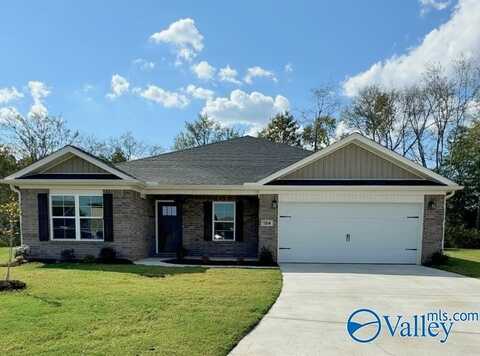 164 Beaver Brook Place, Toney, AL 35773