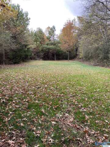 Lot 0 Yancy Lamb Drive, New Market, AL 35761