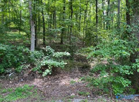 Lot 12 Wood Cove Point, Southside, AL 35907