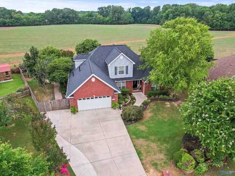 4811 Tomahawk Trail SE, Decatur, AL 35603