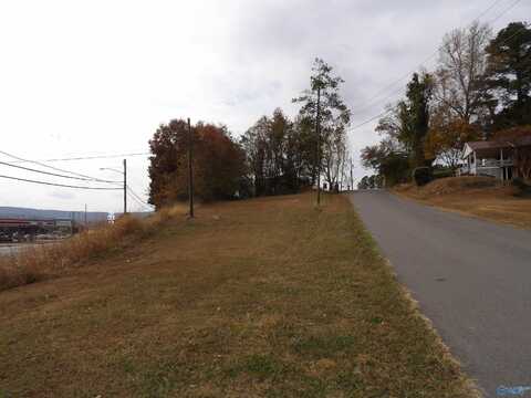 .21 Acres Dunlap Avenue, Guntersville, AL 35976