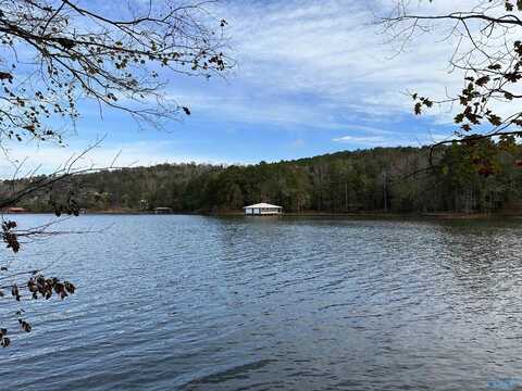 Lot 19 Mohawk Cliff Road, Ohatchee, AL 36271