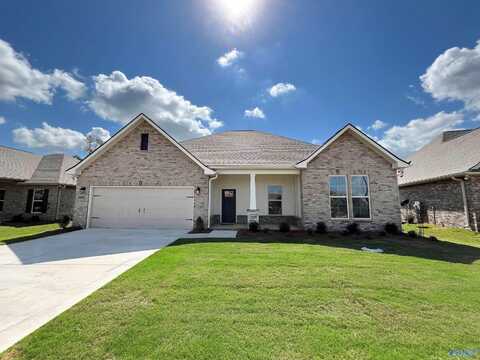 24483 Bekah Lane, Toney, AL 35773