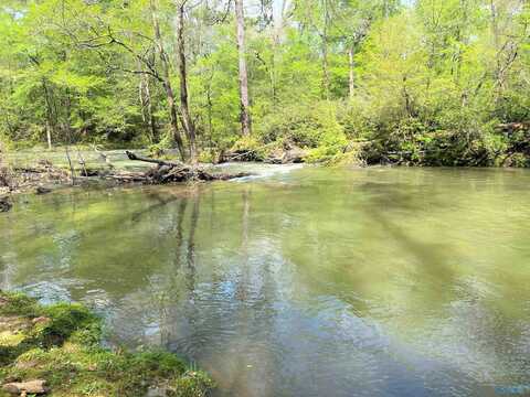 Lot 10 County Road 137, Cedar Bluff, AL 35959