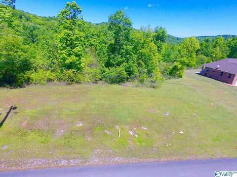 36 Tara Drive, Guntersville, AL 35976