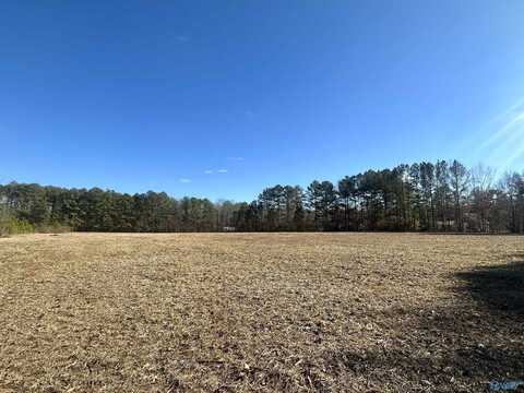 8.83 Acres Wilcox Street, Attalla, AL 35954