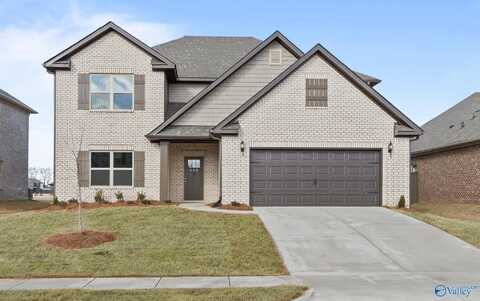Shelburne Saddle Street, New Market, AL 35761