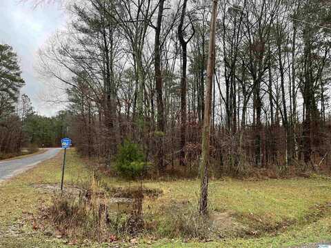 Lot 1 Blk 4 County Road 380, Centre, AL 35960