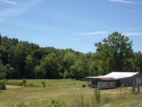 6608 Sand Valley Road, Attalla, AL 35954