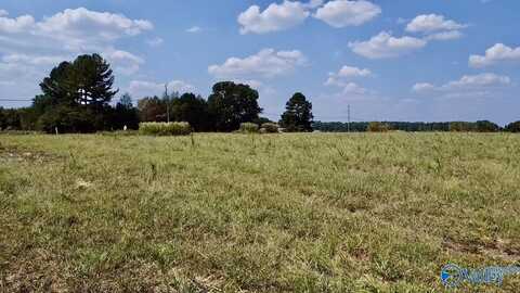 Lot 5 Scott Road, Hazel Green, AL 35750