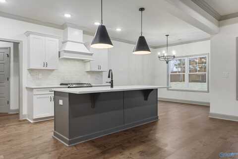 203 M.B. Ayers Way, New Market, AL 35761
