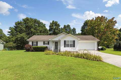 110 Childmark Drive, Albertville, AL 35950