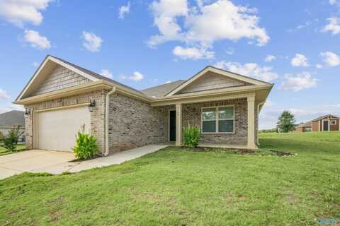 165 Meadowridge Drive, Hazel Green, AL 35750