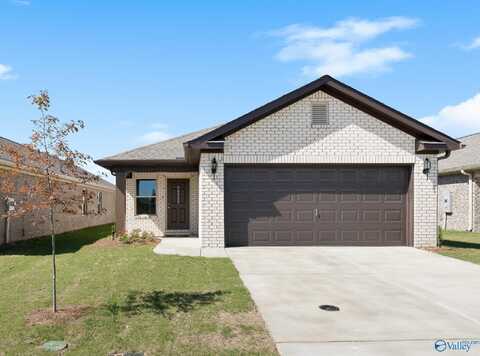 11113 Ravenel Drive, Harvest, AL 35749