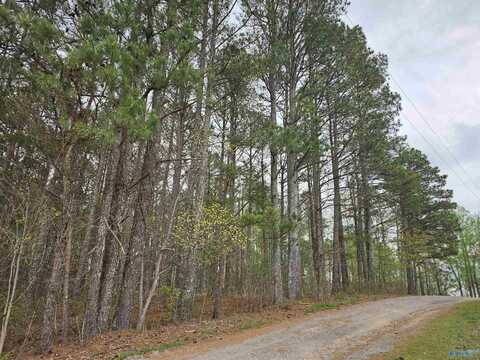 1.12+/- Acres 0 Scenic Drive, Section, AL 35771