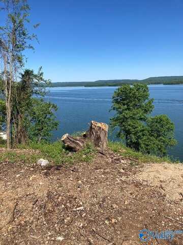 810 Pine Island Point, Scottsboro, AL 35769