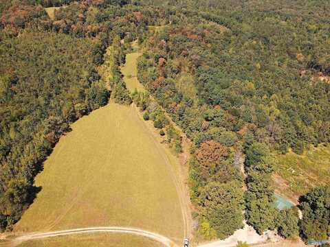 117 Acres County Road 140, Town Creek, AL 35672